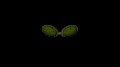Dreamiverse Music 15