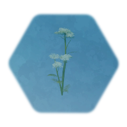 Singular Cow Parsley