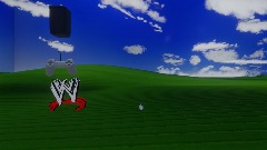 Windows xp
