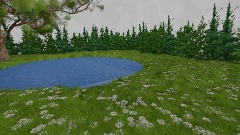 Peaceful pond 2020