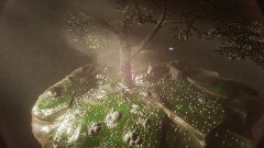 the floating island - giant tree