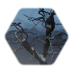 Snowy tree
