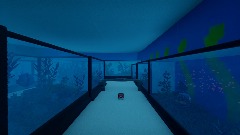 Aquarium Race Track