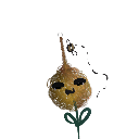 Lucathebeet232