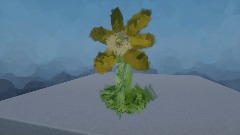 Spring Flower