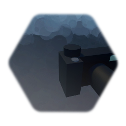 Photo and Video Camera