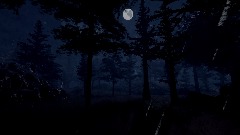 Horror Forest Scene