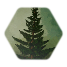 Pine Tree
