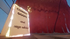 Live  DreamsCom Variety Show!