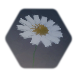 Daisy
