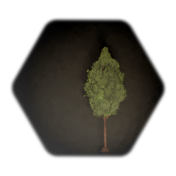 Maple tree (1sculpt)