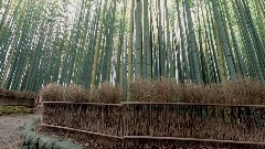 A screenshot taken in Dreams. 1 of 25.