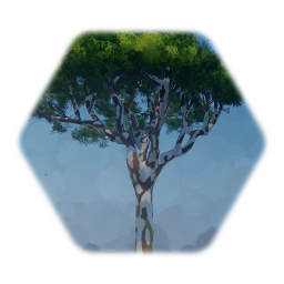 Tree - Leopard Tree - Caesapinia Ferrea