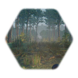 Forest 2