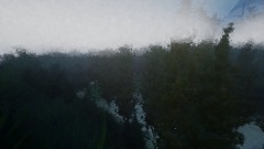 La forêt des brumes