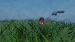 Kimu's weird adventure
