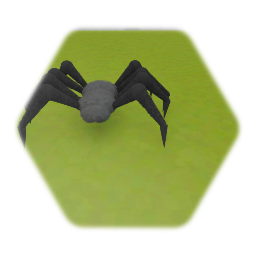 Spider test - 30/8/2020