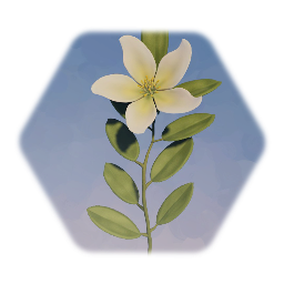 White Flower