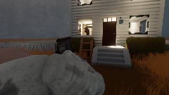 |project Hypothesis demo|