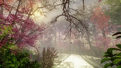 Walk in the Redbuds