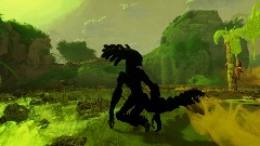 jungle