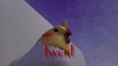 Tweet borb.