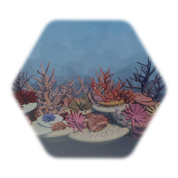 Coral reef