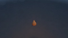 A screenshot taken in Dreams. 15 of 17.