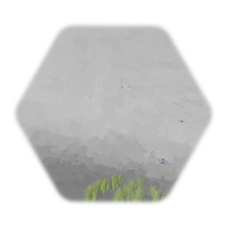 Sparse Green Grass