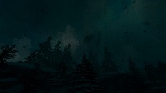 The forest of the Crow