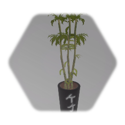 Remix of Green Bamboo Cane (Potted)