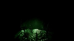 Sinister Shadows in the Swamp