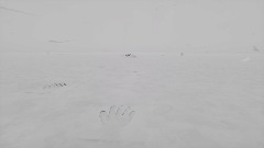 A screenshot taken in Dreams. 7 of 14.