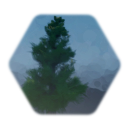 Pine