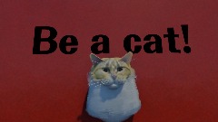 Be a cat!