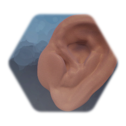 Ear