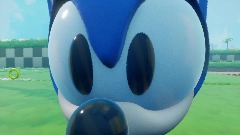 Sonic Is Hallucinating