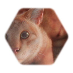 Gytmij (Prebton Johnson)