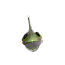 duhdonkey