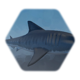 Tiger Shark