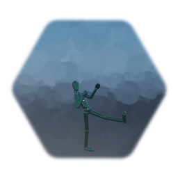 Basic Fighting Animations