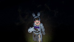 Bonnie 1986 test