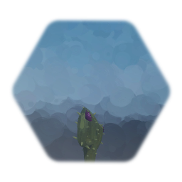 Cactusák