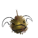 Jamkytus