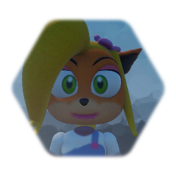 coco crash bandicoot ragdoll