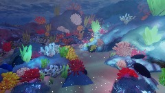 Underwater wonders