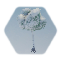 Tree trees snow to green to autumn to sands all in one.