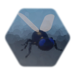 Fly