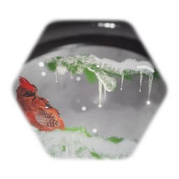 Cardinal in Snow