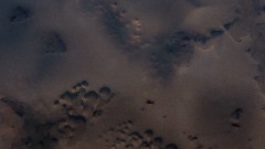 Sofia 's Treasure Hunt - 2019/9/5